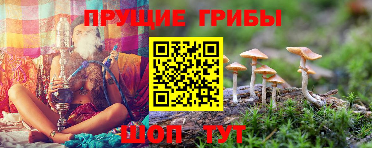 как найти наркотики  Псилоцибиновые грибы прущие грибы  Вход с VPN  Конаково 