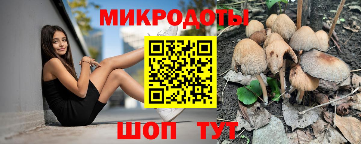 Псилоцибиновые грибы Magic Shrooms Конаково